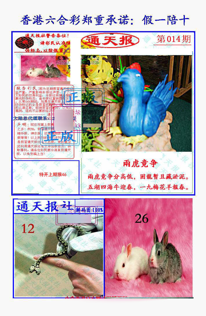 014期假一陪十通天报[图]