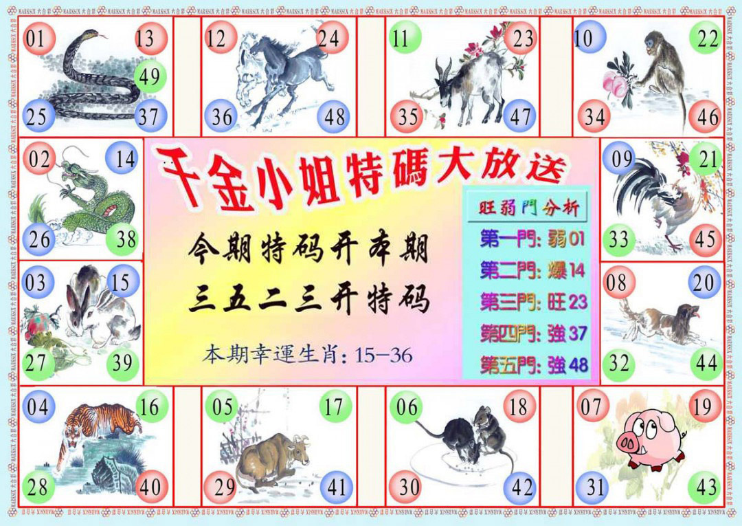 014期千金小姐B版[图]