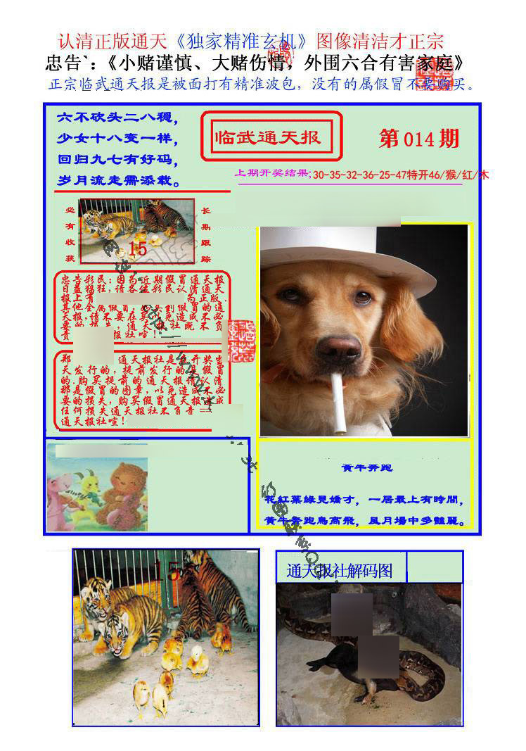 014期临武通天报[图]