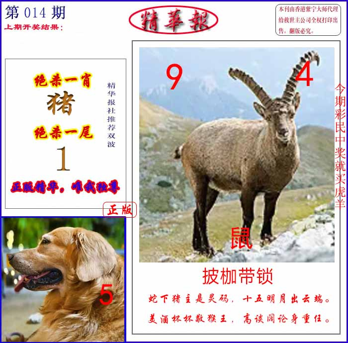 014期新精华报报[图]