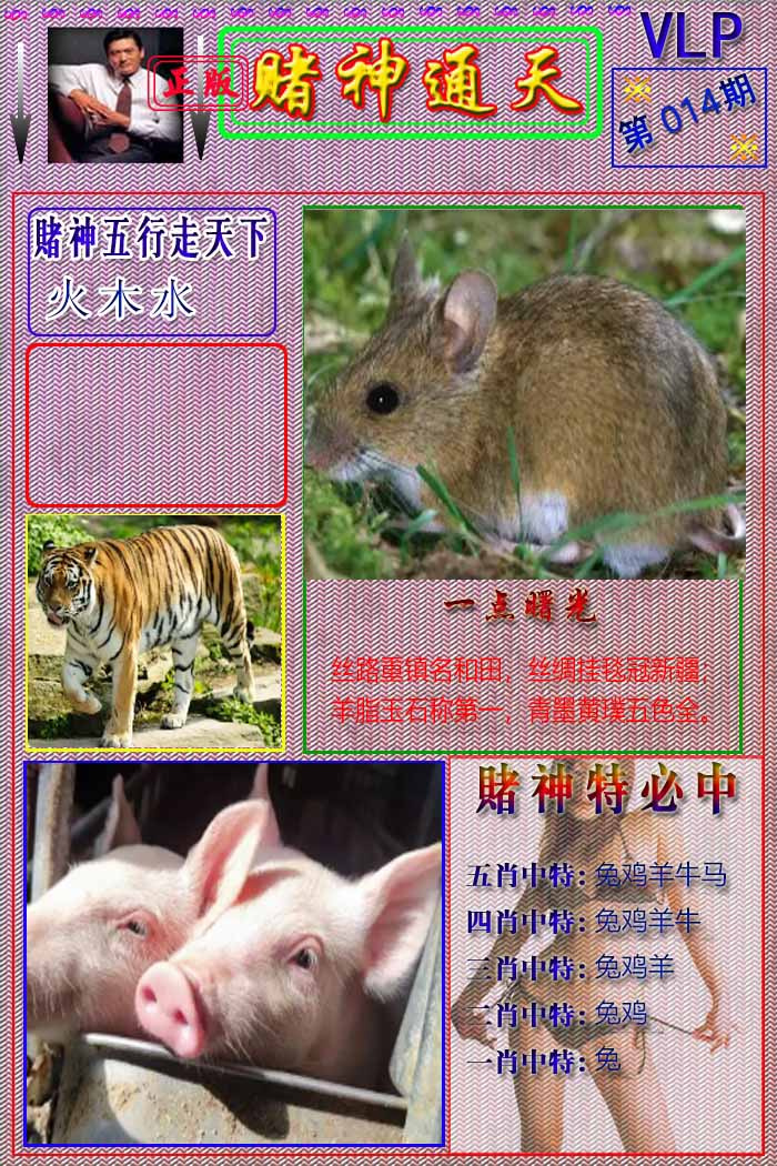 014期赌神通天报[图]