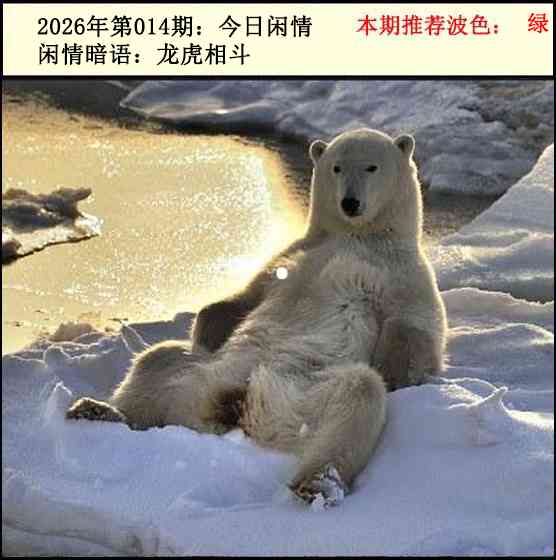 014期今日闲情2[图]
