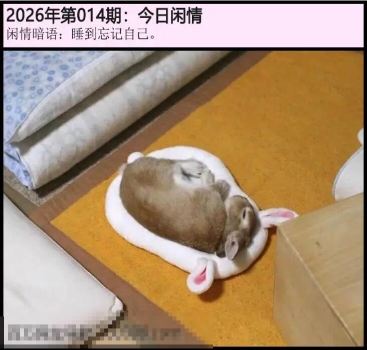 014期另版今日闲情[图]